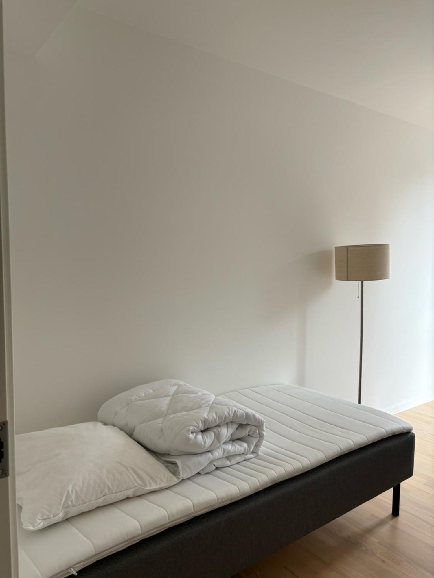 Central Lejlighed Odense C المظهر الخارجي الصورة
